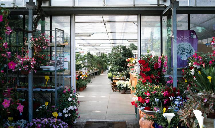 Floricoltura Moretti, Bergamo: dalla casa ai grandi eventi, il garden che trasforma ogni spazio con eleganza