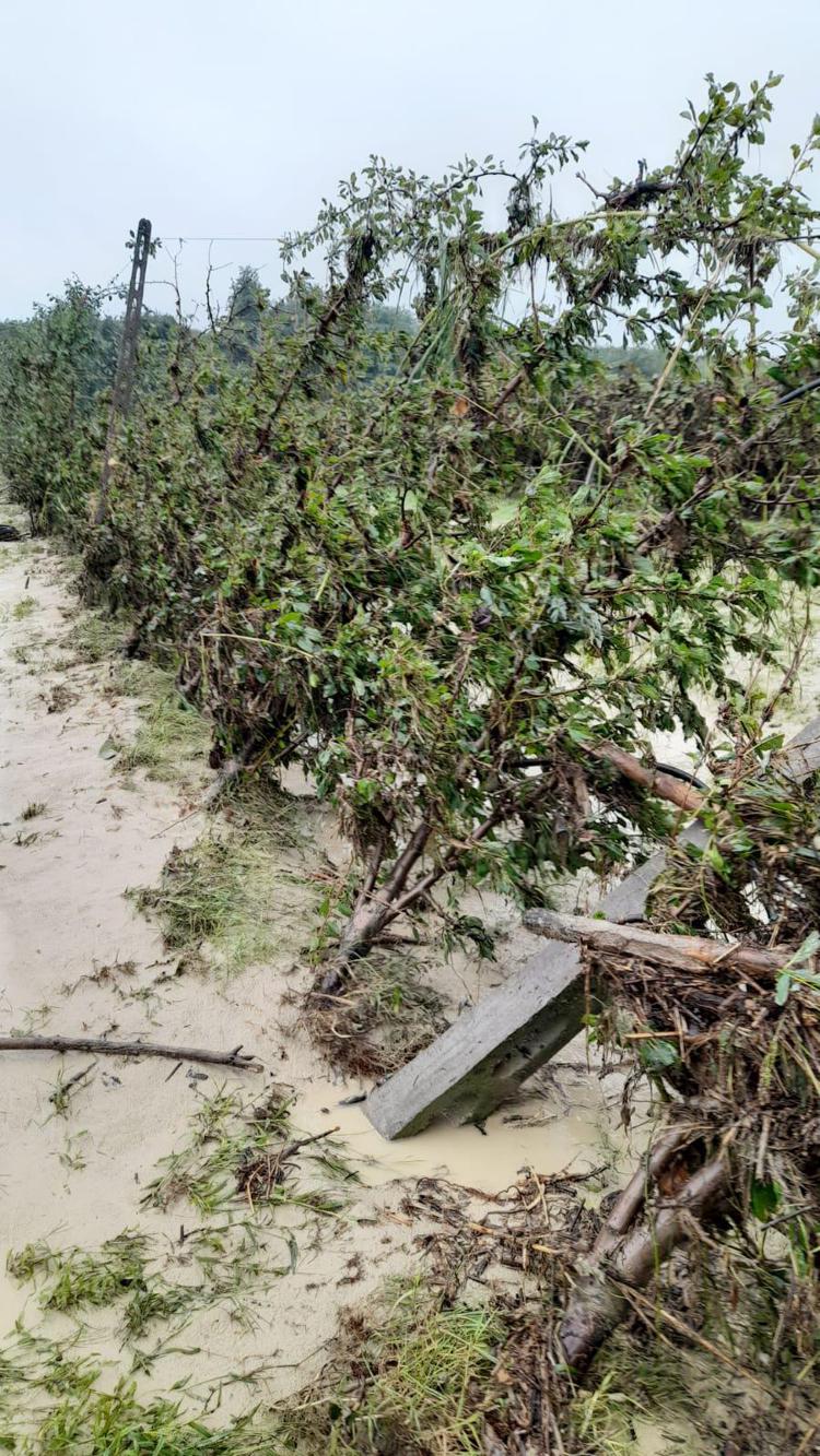 Un'immagine dei campi devastati dall'acqua (foto Coldiretti)