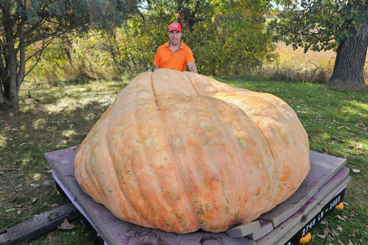 Travis Gienger con la sua zucca da record - Travis Gienger / Ig