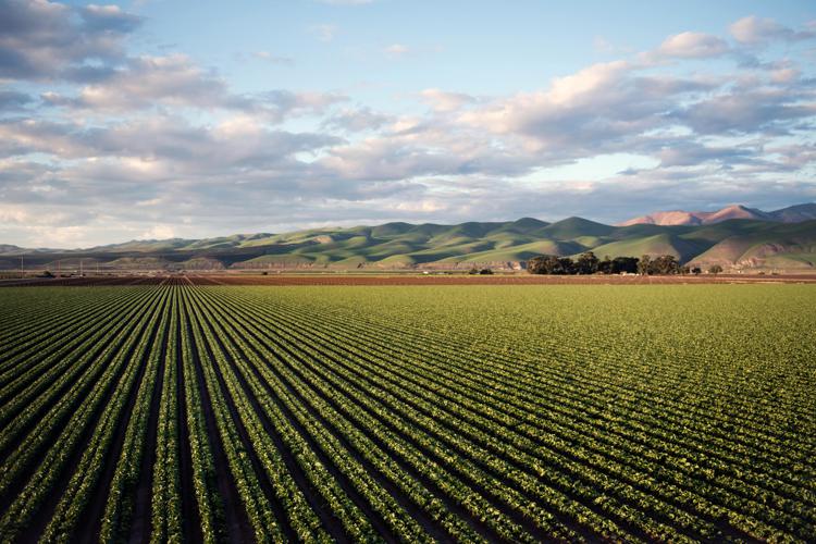 Agricoltura e biodiversità, un piccolo passo verso la neutralità carbonica