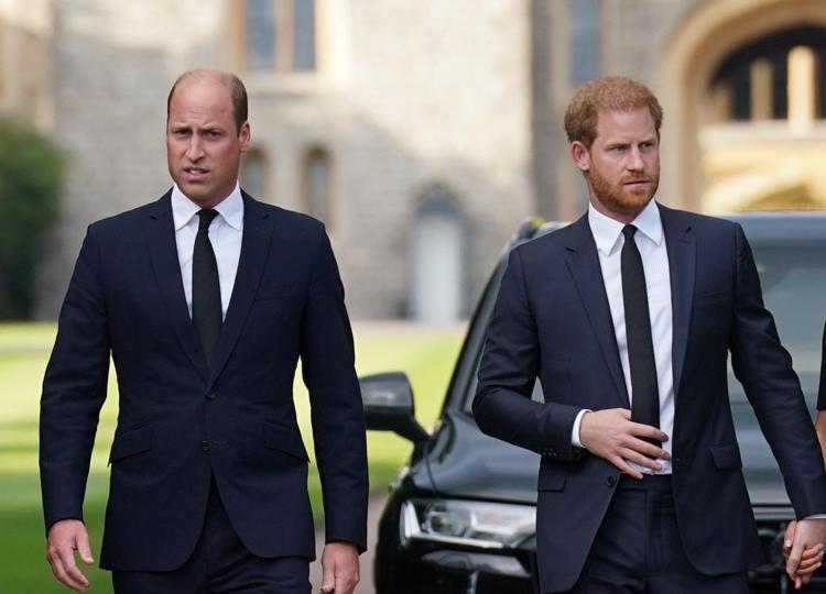 Il principe William e suo fratello Harry - (Afp)