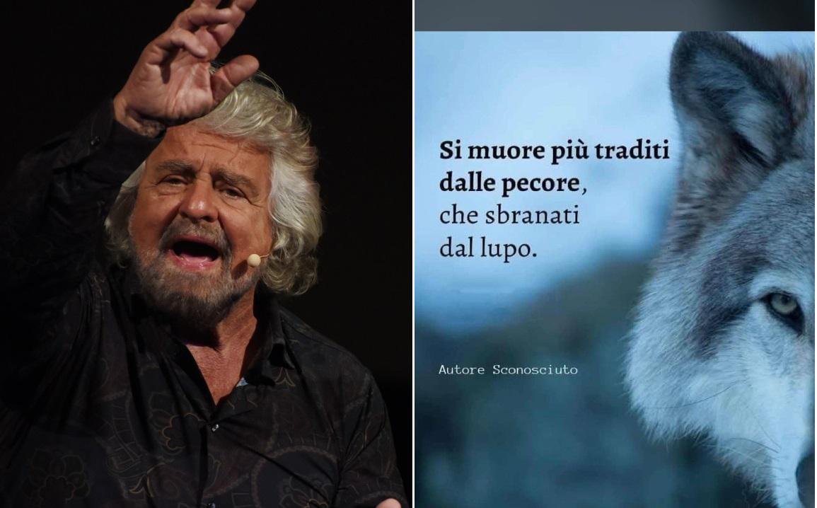 Grillo punge su Whatsapp: "Si muore più traditi dalle pecore che sbranati dal lupo"