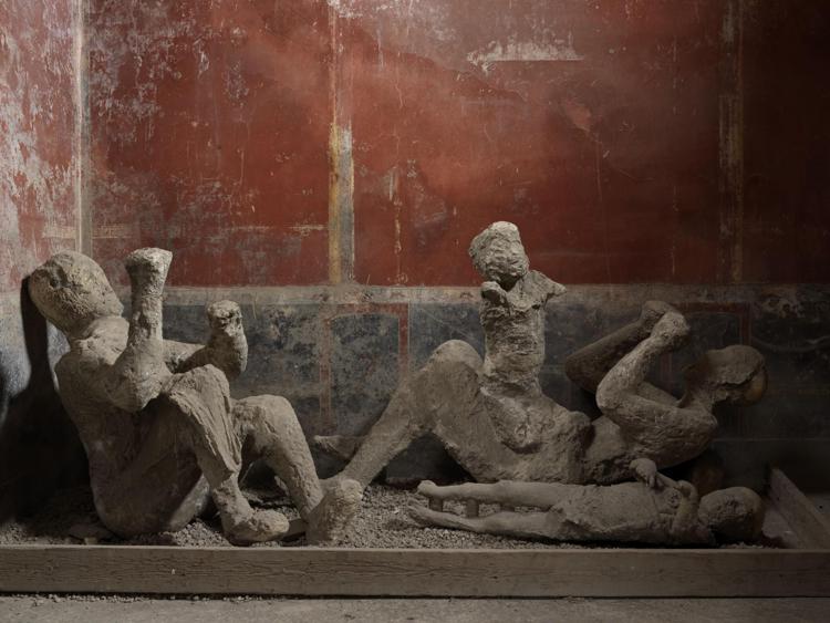 Pompei, il Dna riscrive la storia delle persone sepolte nell'eruzione