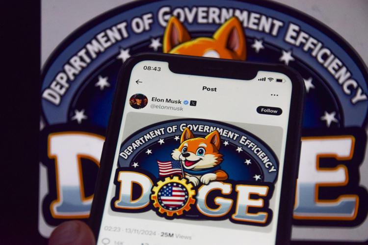 Il logo del Doge, dipartimento per l'efficienza governativa Usa  - Fotogramma /Ipa