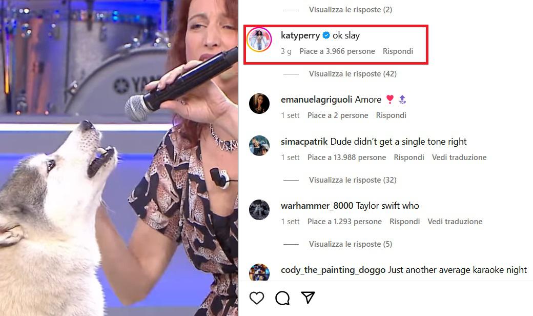 Il cane-cantante alla Corrida, anche Katy Perry è una fan - Video