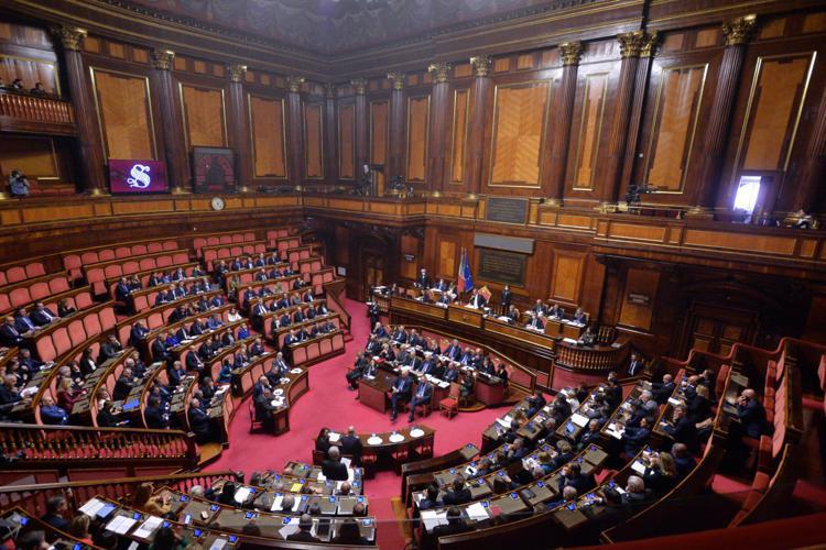 Aula del Senato - Fotogramma