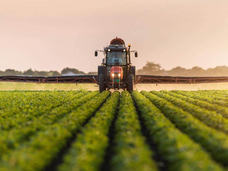 Fondi per l’agricoltura: si avvicina la scadenza per la presentazione delle domande ISMEA