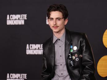 Arriva il biopic su Bob Dylan, red carpet per Timothée Chalamet e il cast - Foto