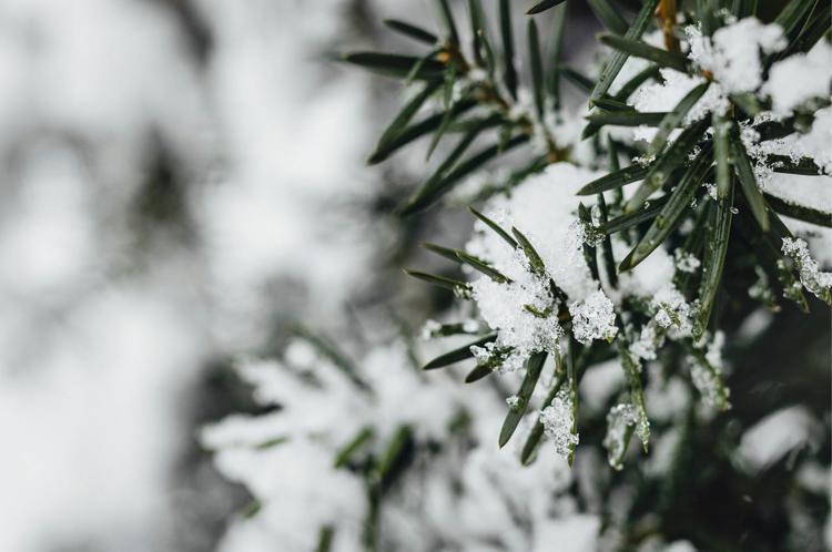 Meteo, le previsioni di oggi - 123RF