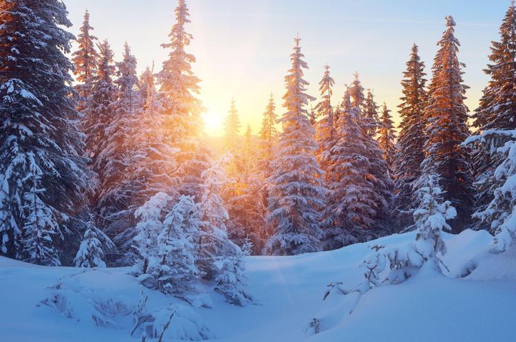 Paesaggio innevato (Foto )