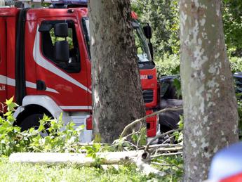 Roma, cade albero: morta una donna a Colli Anie