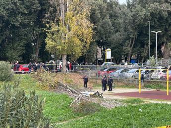 Roma, cade albero per il forte vento: morta una donna a Colli Anie