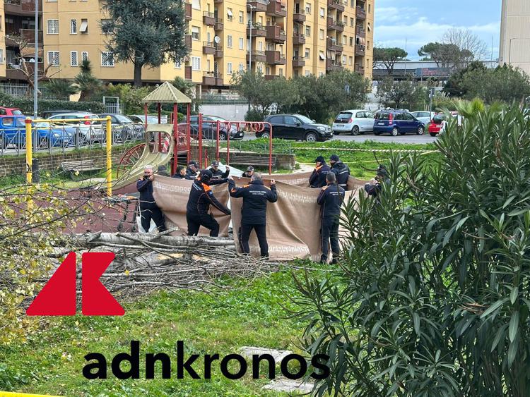 Il punto in cui è crollato l'albero (Foto Adnkronos)