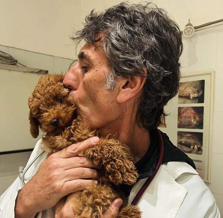 Capodanno, il veterinario Coccìa: 