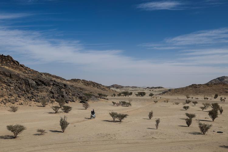 Prove Dakar 2025 - (Fotogramma)