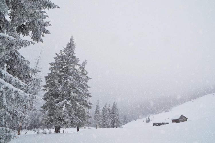 Gelo e neve sull'Italia, le previsioni meteo di oggi - 123RF