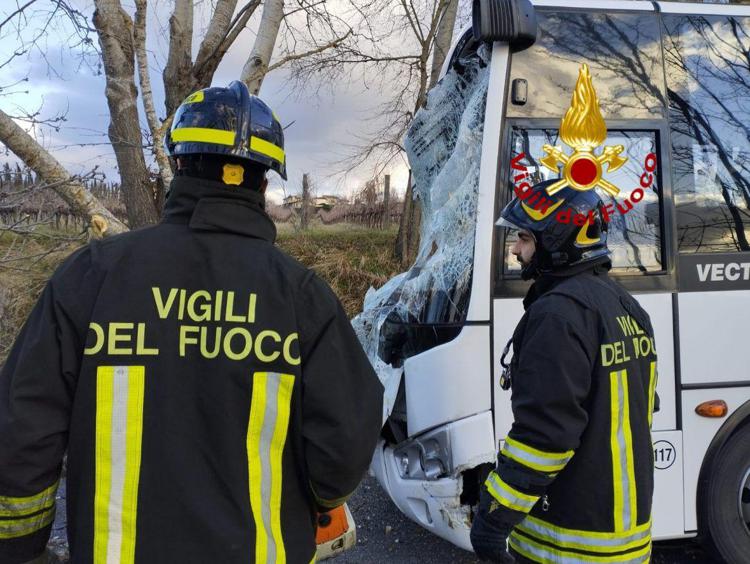 Lo scuolabus colpito dall'albero