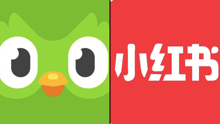 Esodo da TikTok a RedNote, e tutti studiano cinese su Duolingo