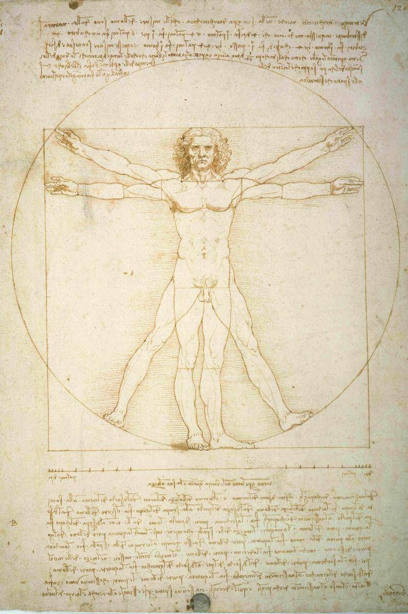 Vitruvian man on display in Venice with ‘modern bodies’