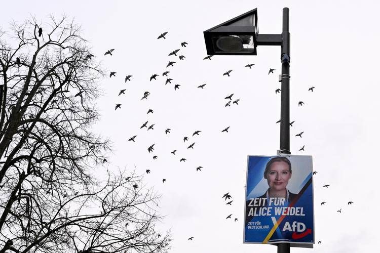 Un manifesto Afd