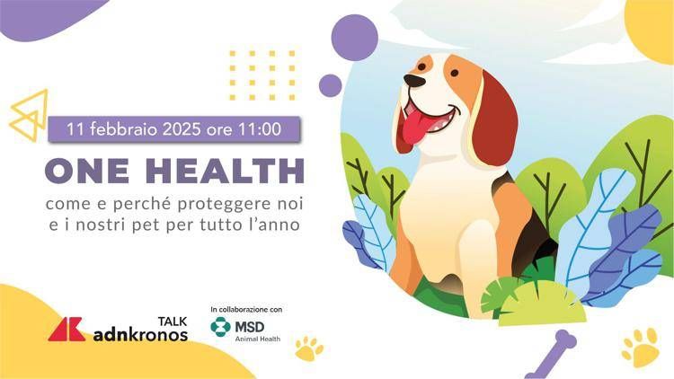 Animali, domani alle 11 il talk per proteggere dalle zecche noi e nostri animale