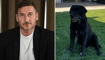 Francesco Totti, morto il cane di famiglia Diego: il dolore della figlia Chanel