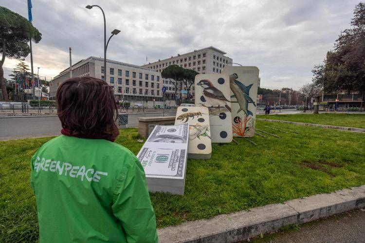 Cop16, Greenpeace in azione: "Se cade la natura, casca il mondo"