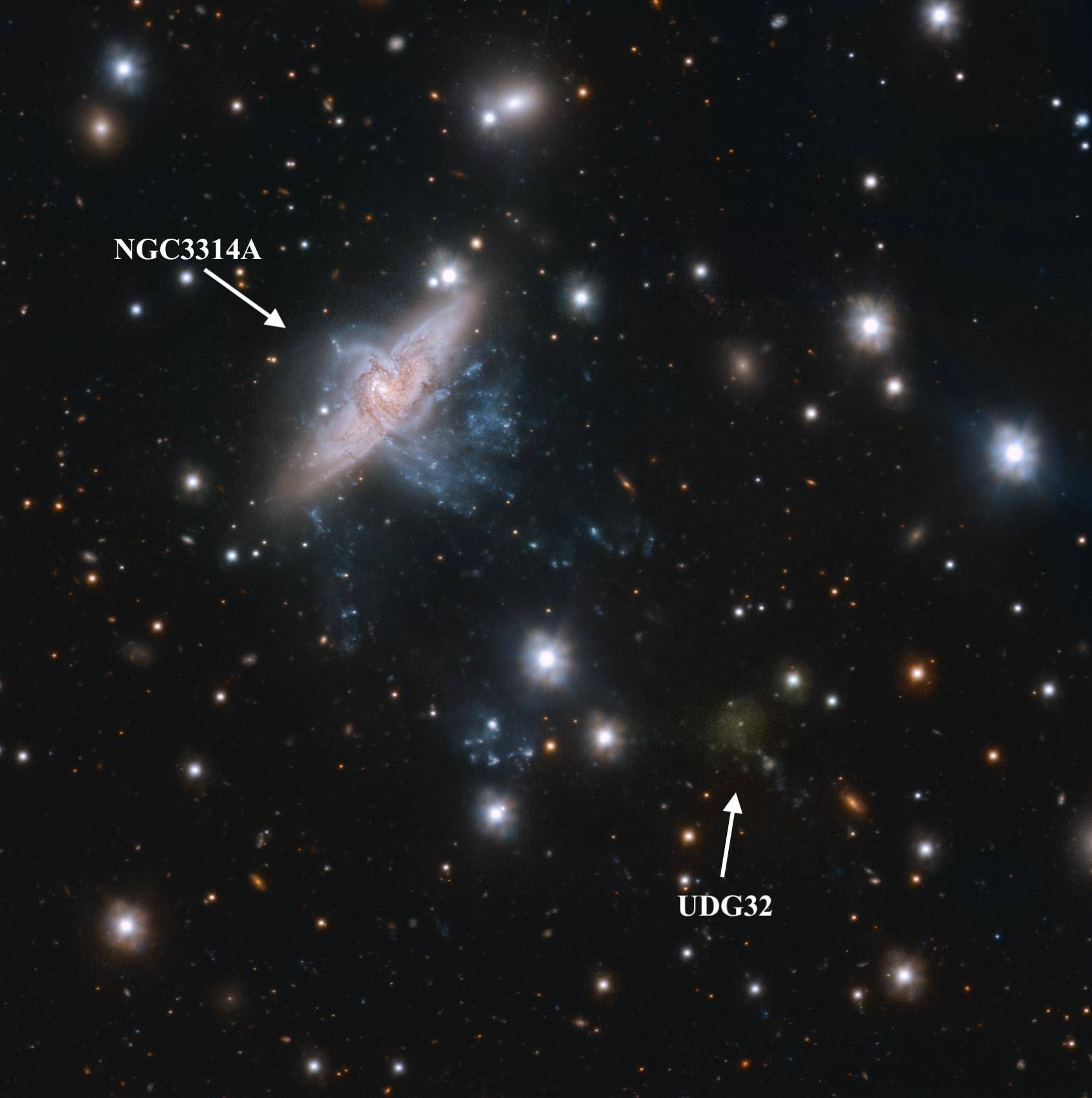 Unexpected discovery on the stellar rotation of ultra widespread galaxies