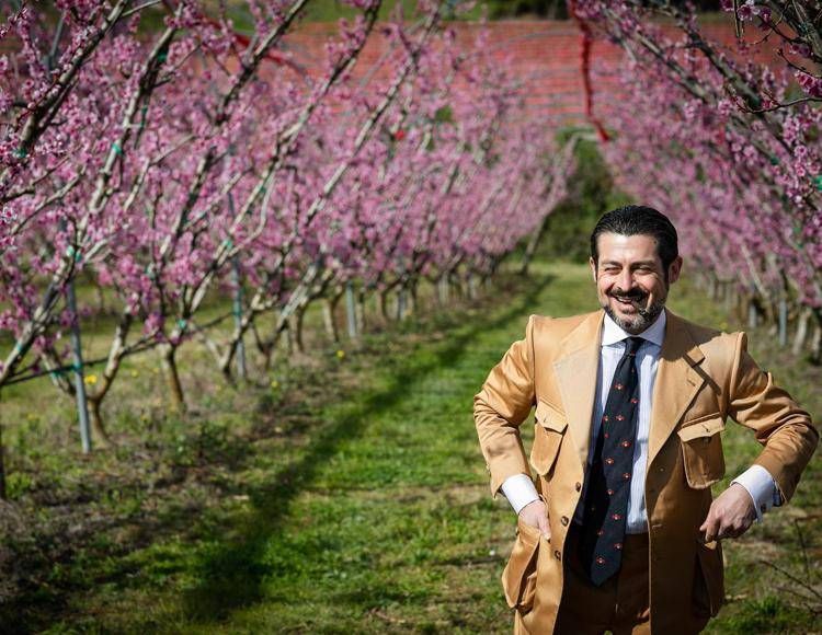 Marche: in fiore gli alberi della pesca Saturnia, l'agricoltura di qualità diventa attrazione turistica