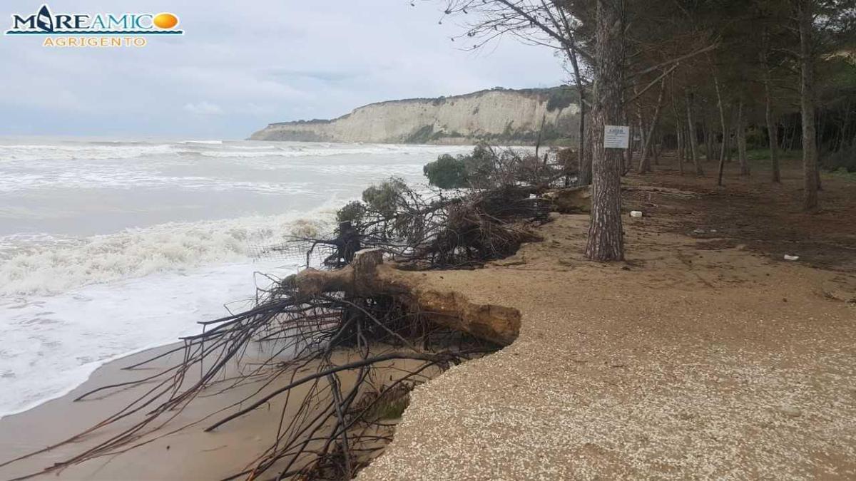 Agrigento Spiaggia Eraclea Ancora Aggredita E Danneggiata