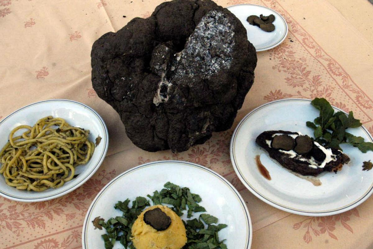 Tartufo A Prezzi Record 6 000 Euro Al Kg