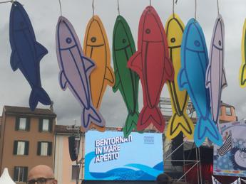 Sardine: Referendum? Parlamento declassato a scatoletta di tonno