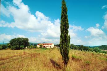 Estate, boom per le case vacanze in Italia