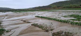 Alluvione a Crotone: l'imprenditrice Turrà, Milioni di danni al territorio, non dimenticateci