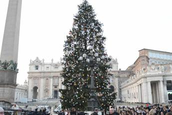 Immagini Abete Di Natale.Vaticano L Abete Di Natale In Piazza San Pietro Compie 35 Anni